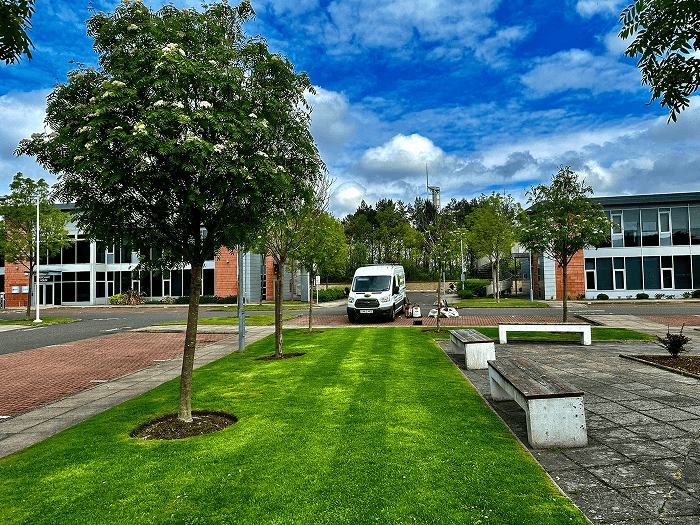 A high view photograph of a beautifully striped lawn grass area of the front of a business industrial estate car park with wooden benches beside the grass area