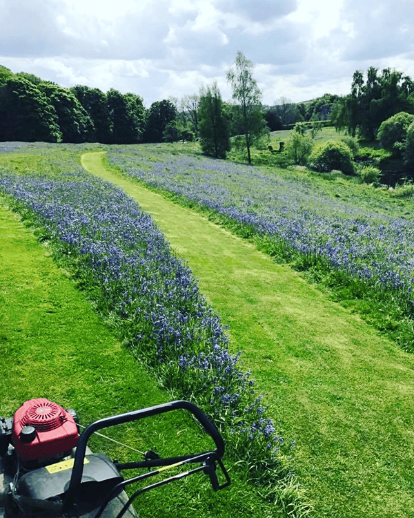 A beautifully mowed grass lawn with stripes in an area that looks like the north of Scotland with an old fashioned cottage building on a hillock on a beautiful summers day with the North Sea in the background
