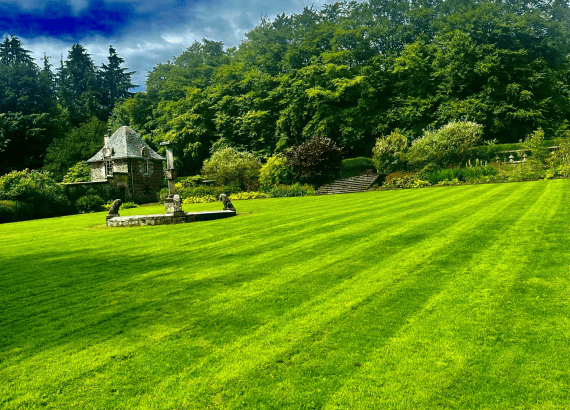 This is an image of a nicely trimmed back garden