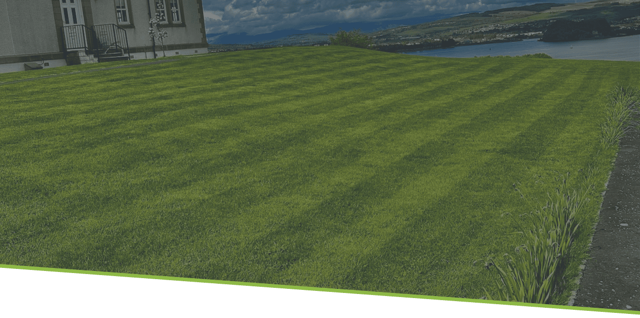 this is an image background of an older scottish style cottage to the right on a beautiful hillock of beautifully line cut grass by what looks like the North Sea