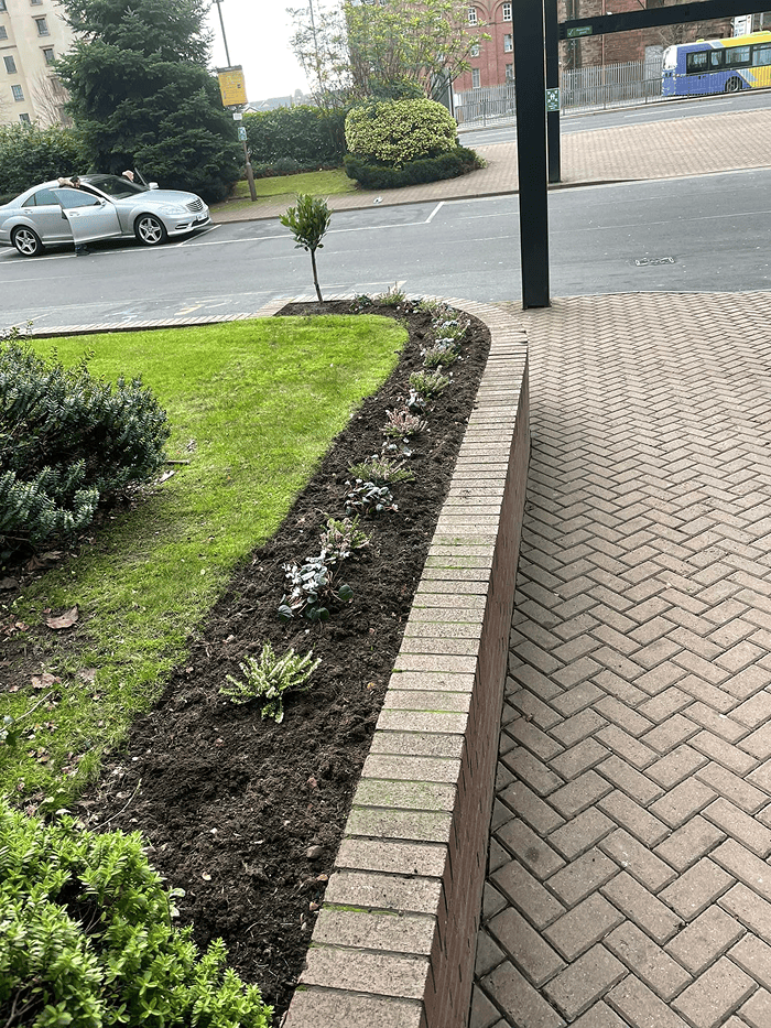 A high view photograph of a beautifully striped lawn grass area of the front of a business industrial estate car park with wooden benches beside the grass area