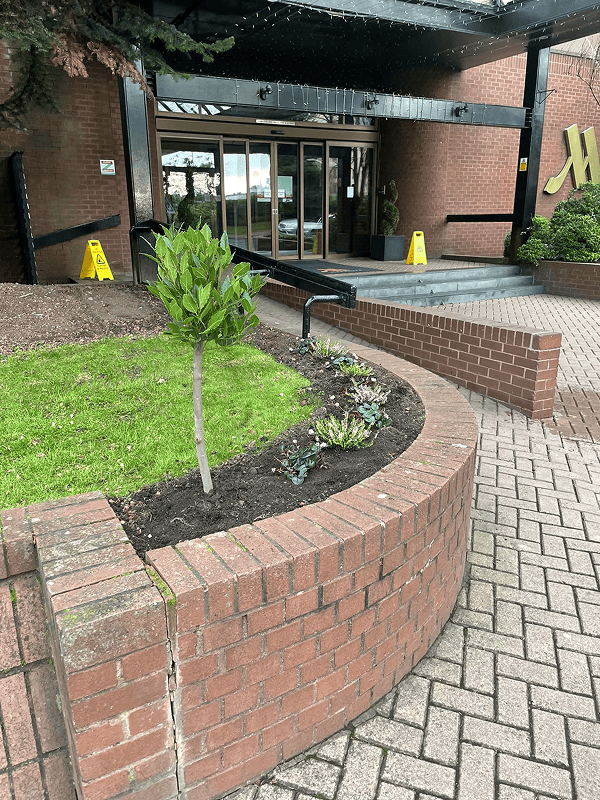 A high view photograph of a beautifully striped lawn grass area of the front of a business industrial estate car park with wooden benches beside the grass area